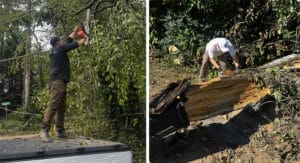 Left: a man reaching up and cutting overhanging branches from a downed tree with a chainsaw; on the right a man cutting a downed tree trunk with a chainsaw